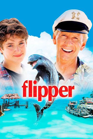 Flipper poster