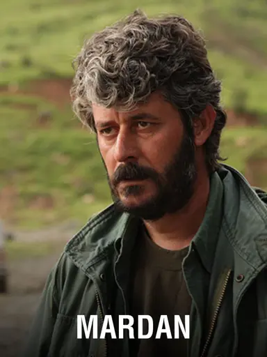 Mardan poster