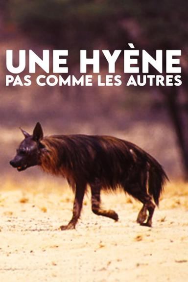 A Hyena like No Other poster