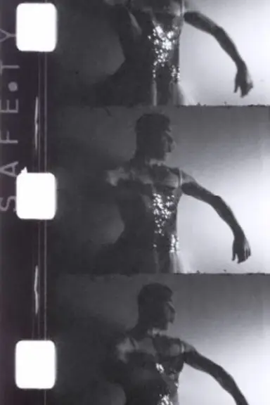 Vloof l'aigrette poster