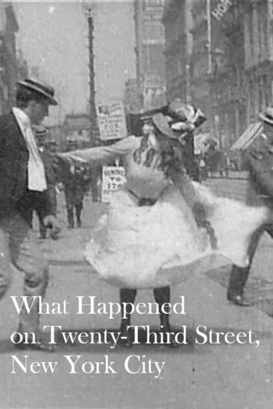 What Happened on Twenty-Third Street, New York City poster