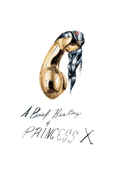 A Brief History of Princess X poster