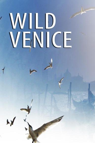 Wild Venice poster