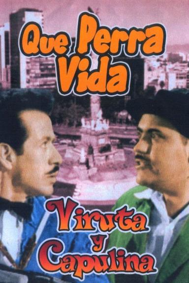 Qué perra vida poster