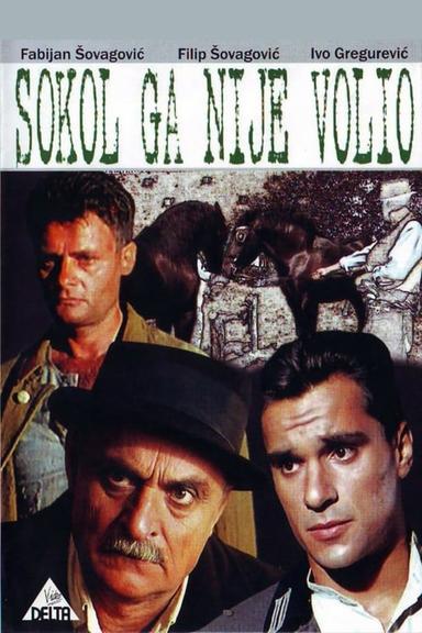 Sokol Did Not Love Him poster