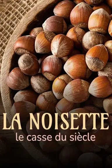 La noisette : le casse du siècle poster