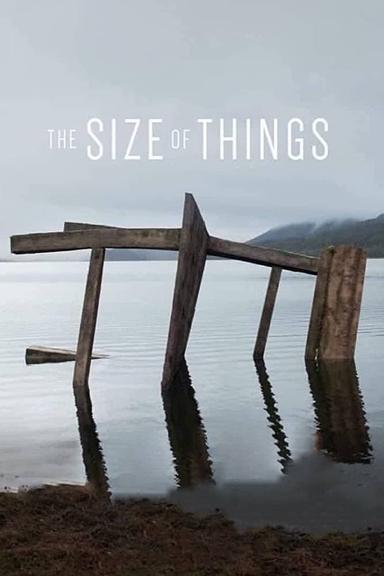 The Size of Things poster