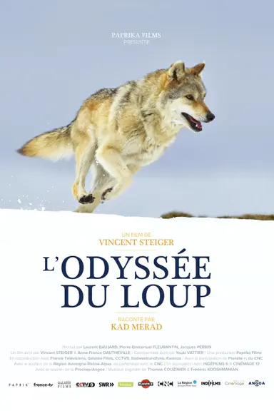 A Wolf's Journey poster