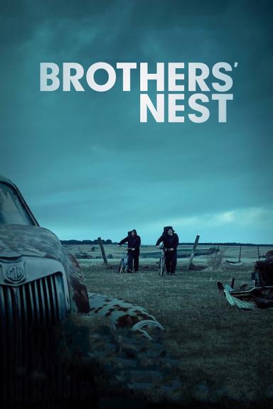 Brothers' Nest poster