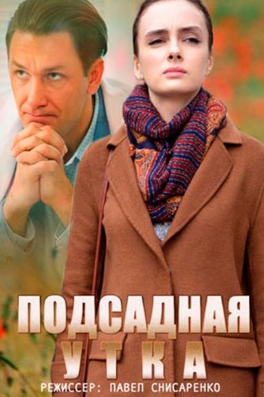 Подсадная утка poster