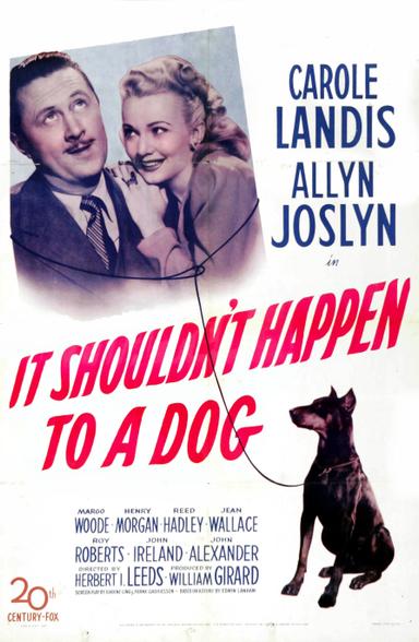 It Shouldn't Happen to a Dog poster