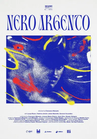 Black Silver poster