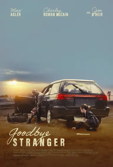 Goodbye Stranger poster