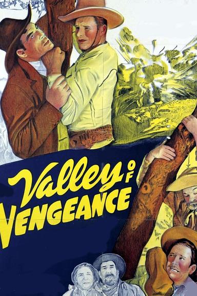 Valley Of Vengeance poster