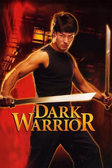 Dark Warrior poster