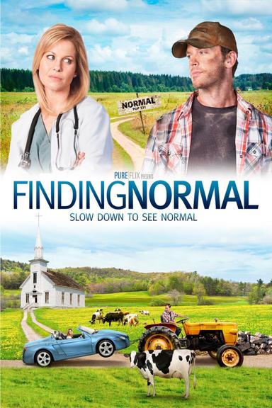 Finding Normal poster