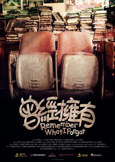 Remember What I Forgot poster