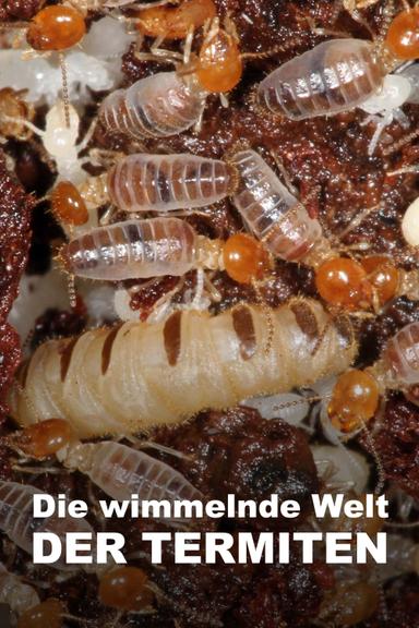 The World According to Termites poster