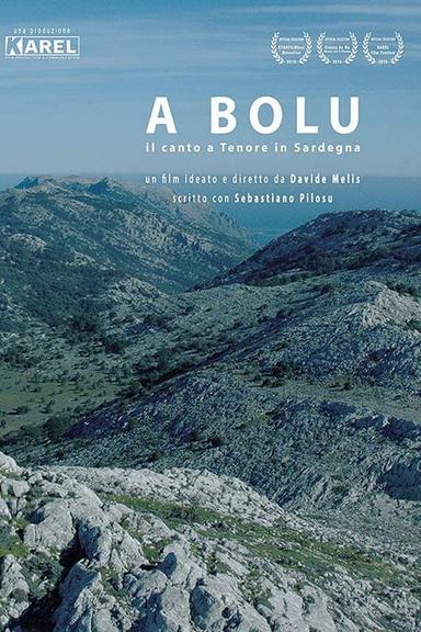 To Bolu poster