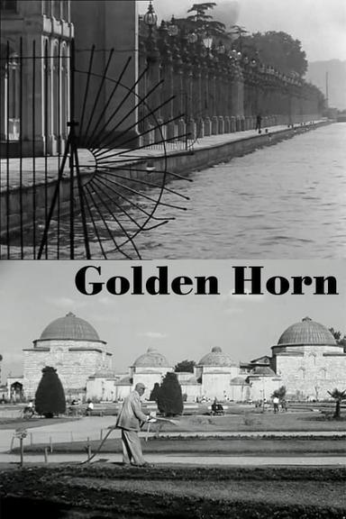 Golden Horn poster