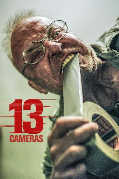 13 Cameras poster