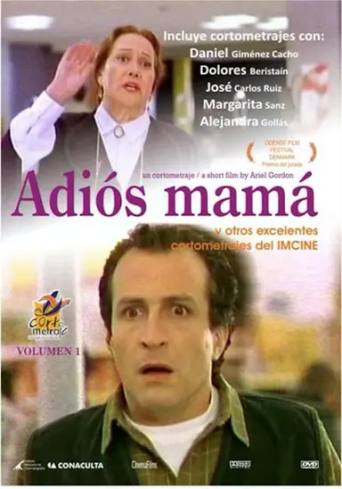 Goodbye Mom poster