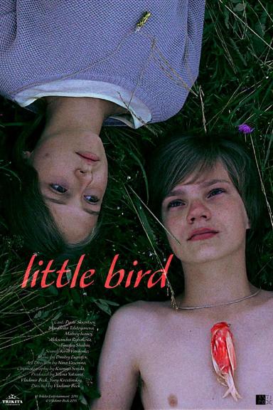 Little Bird poster