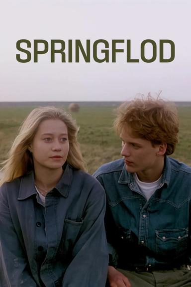 Spring Tide poster