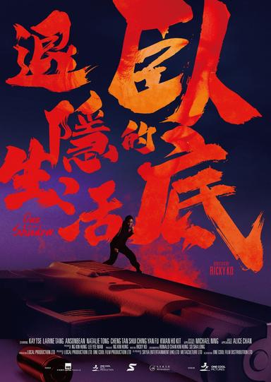 Out of the Shadow poster