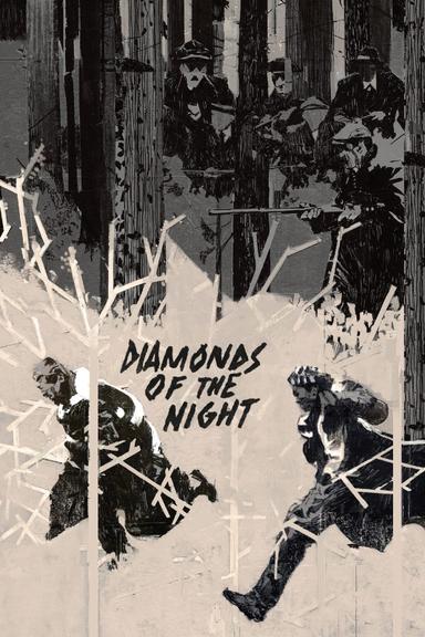 Diamonds of the Night poster