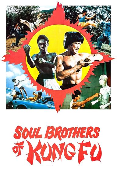 Soul Brothers of Kung Fu poster