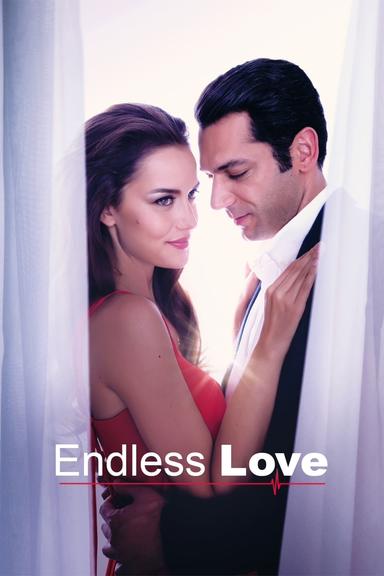 Endless Love poster