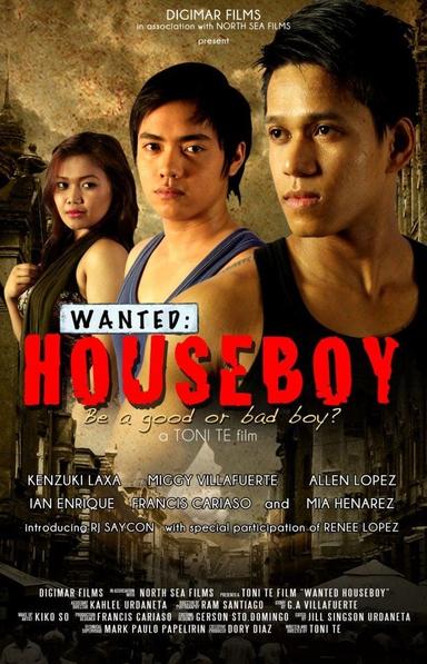 Wanted: Houseboy poster