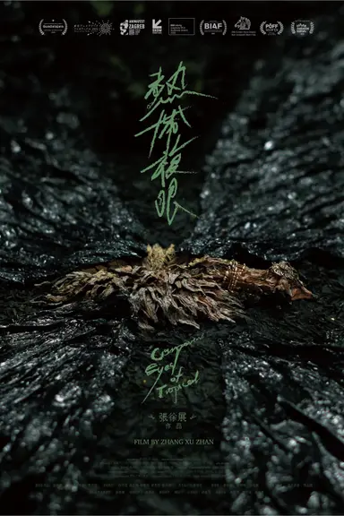 Compound Eyes of Tropical poster