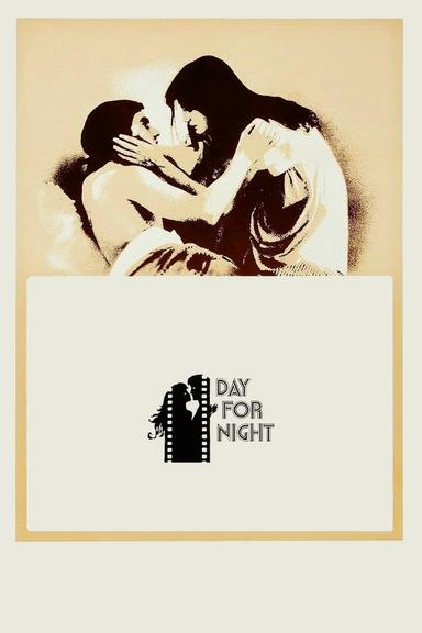 Day for Night poster