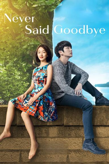 Never Said Goodbye poster