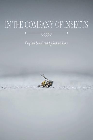 In the Company of Insects poster