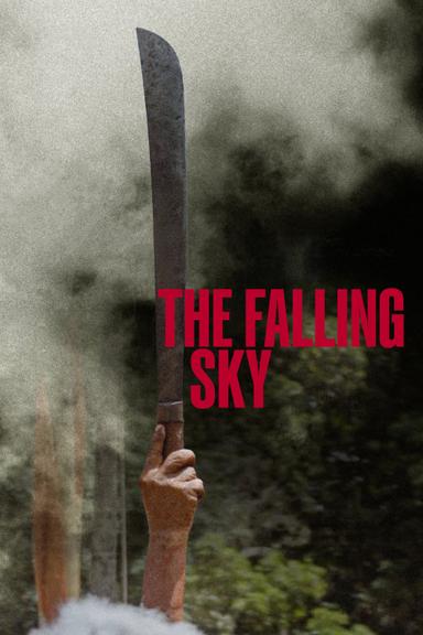 The Falling Sky poster