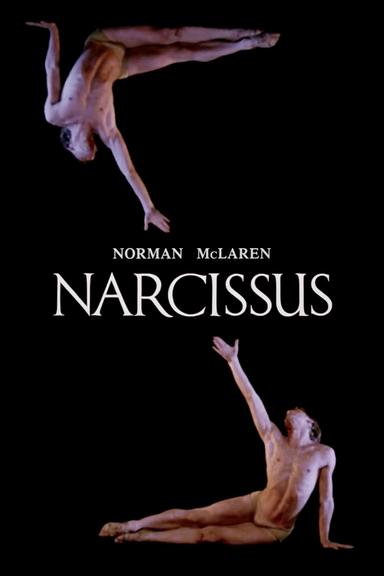 Narcissus poster