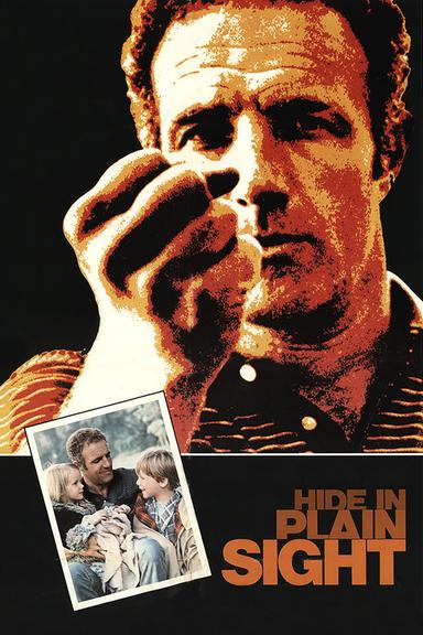 Hide in Plain Sight poster