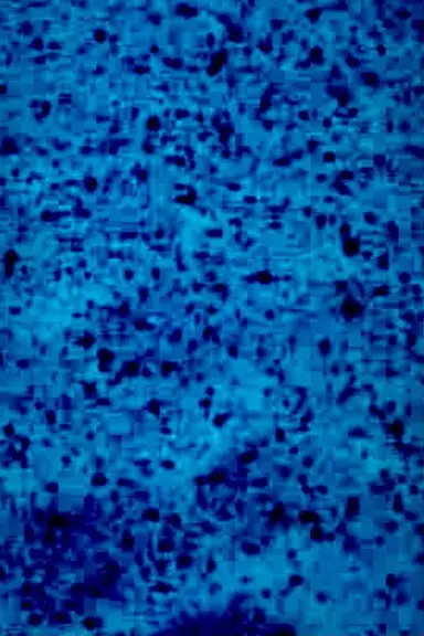 BLAUFILM poster