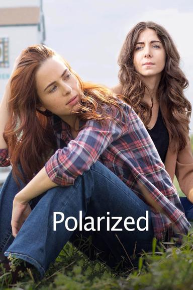 Polarized poster