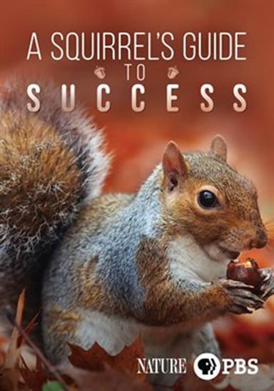 A Squirrel's Guide to Success poster