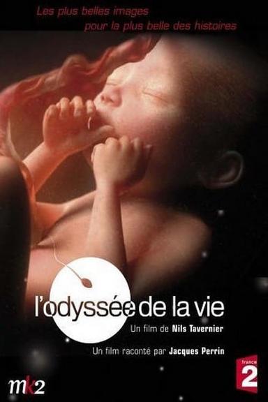 L'odyssée de la vie poster