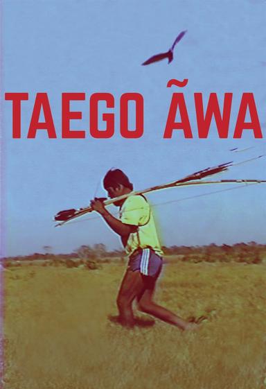 Taego Ãwa poster