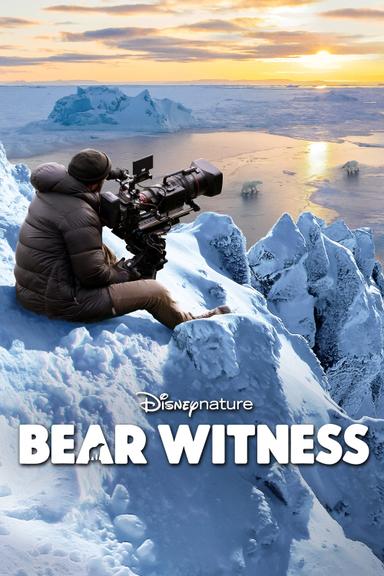 Bear Witness poster