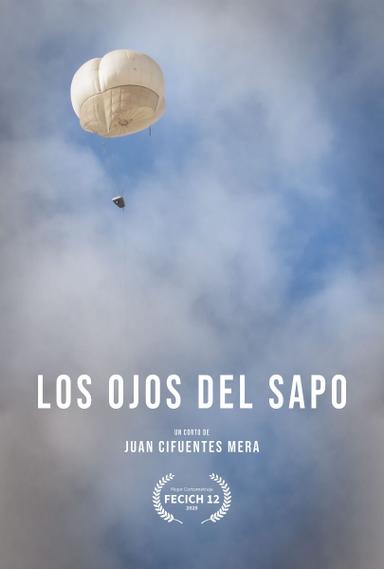 Los Ojos del Sapo poster