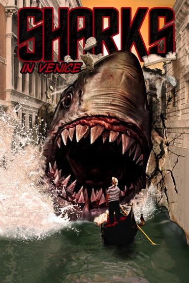 Sharks in Venice poster