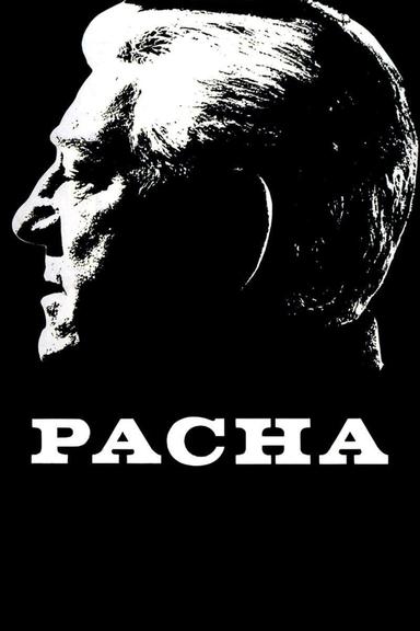 Pasha poster