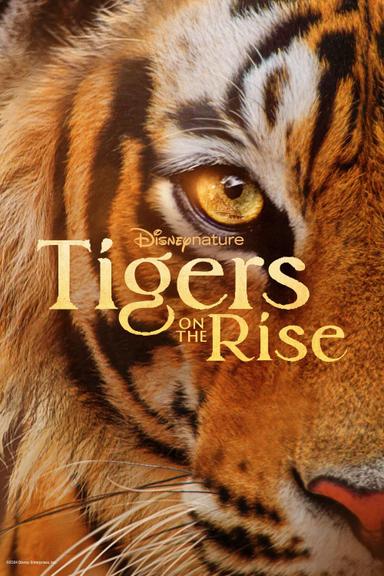 Tigers on the Rise poster